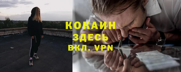 стафф Ростов