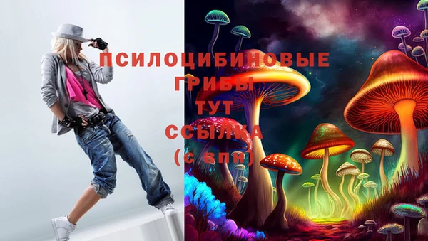 прущие крисы Рославль