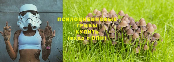 первитин Россошь