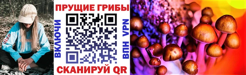 Псилоцибиновые грибы Cubensis  Западная Двина 