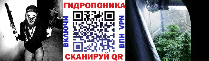 Бошки марихуана план  сколько стоит  Западная Двина 